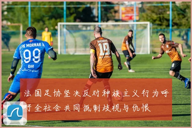 法国足协坚决反对种族主义行为呼吁全社会共同抵制歧视与仇恨