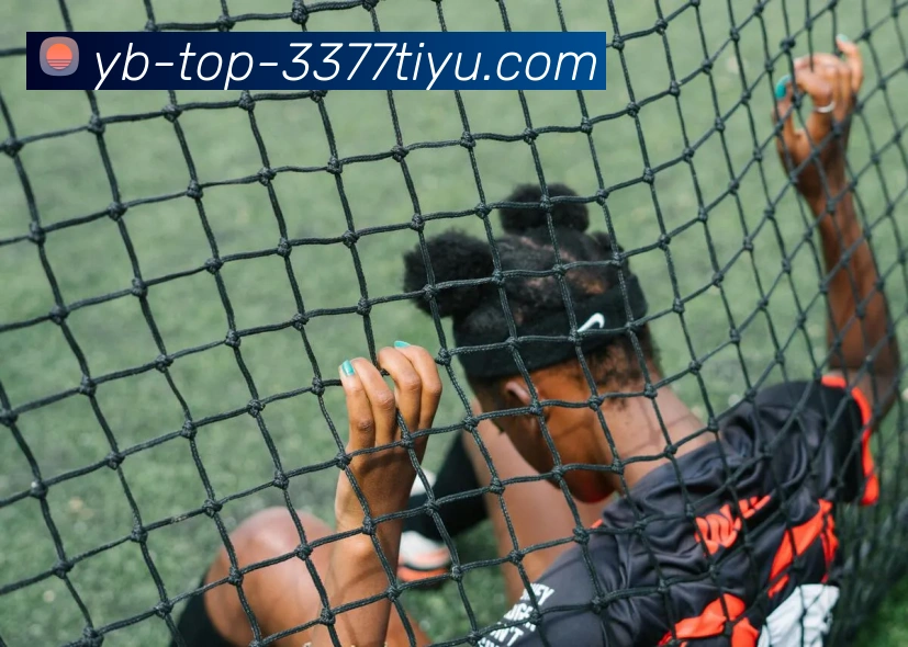 3377体育平台生态图