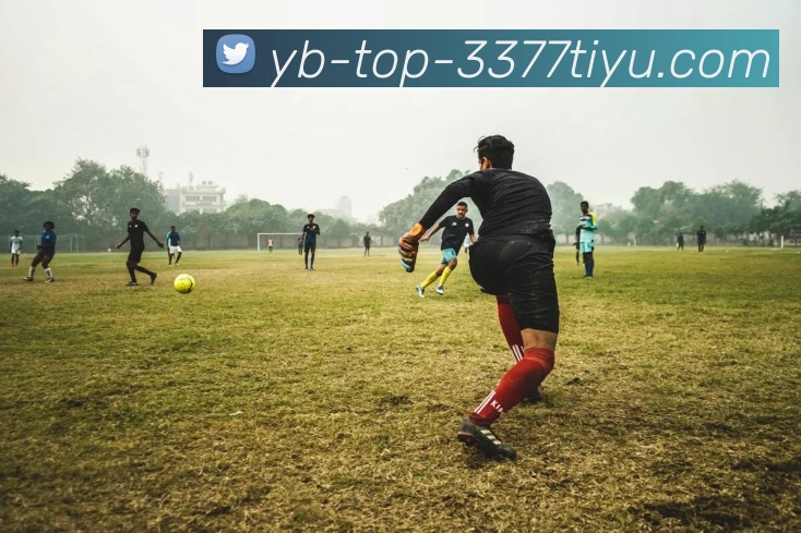 3377体育APP 封面图