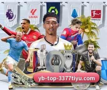 3377体育 APP(3377Sports)